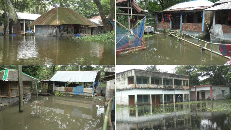 যশোরের দুঃখ ভবদহে জলাবদ্ধতা নিরসনে ৫ দফা দাবি
